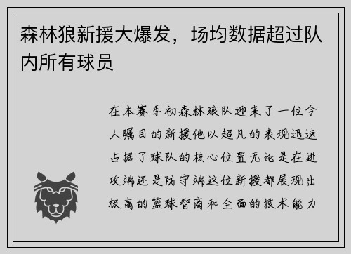 森林狼新援大爆发，场均数据超过队内所有球员